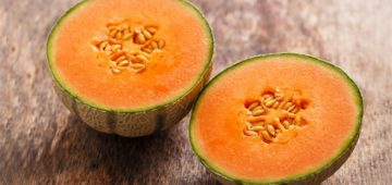 melone invernale