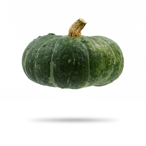 ZuccaProdotto zucche alta qualità