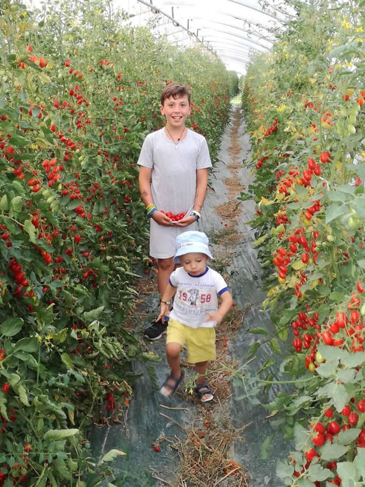 02 produzione verdura qualità