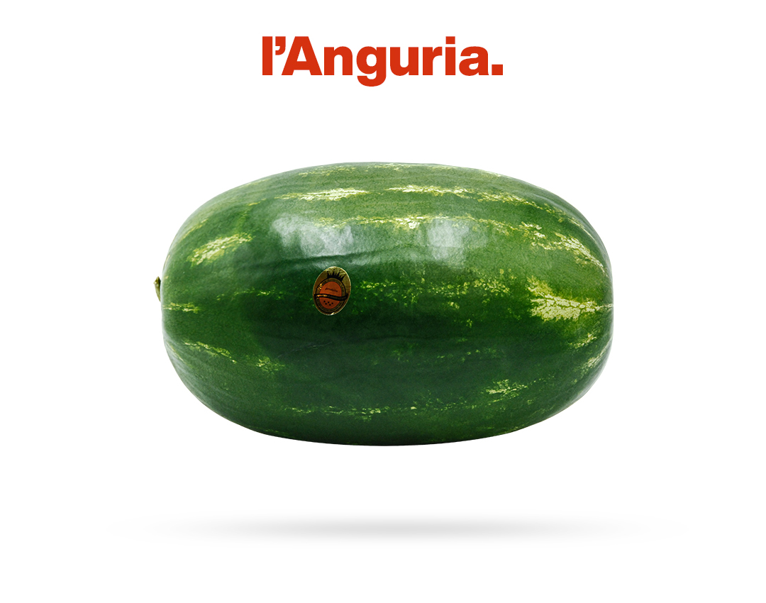 anguriabigNew vendita angurie alta qualità