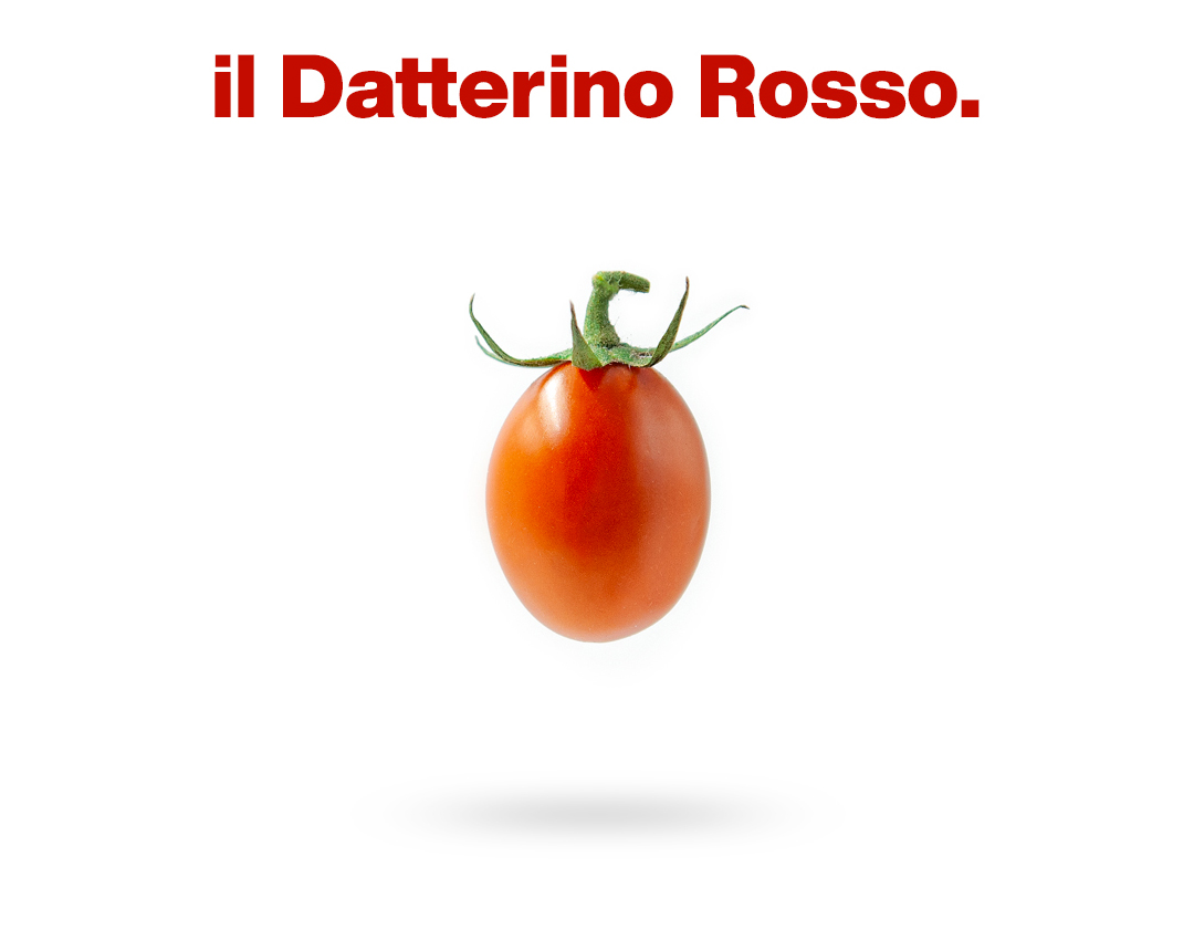 datterinobigNew pomodoro alta qualità