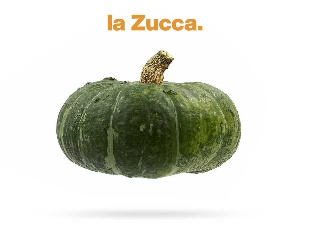 zuccabigNew vendita zucche