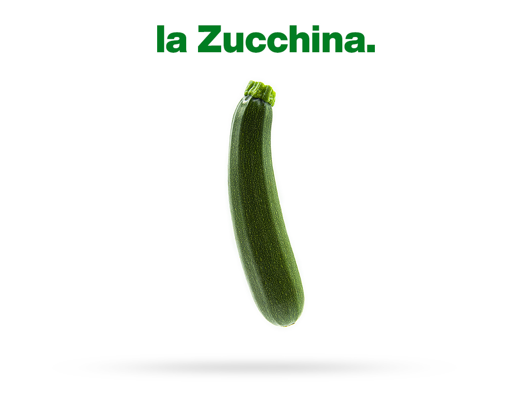 zucchinabigNew vendita zucchine