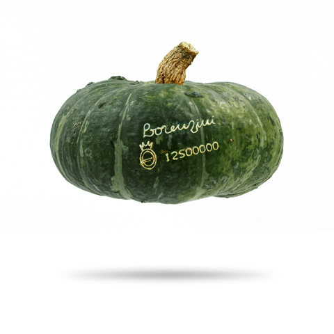 Zucca Delica