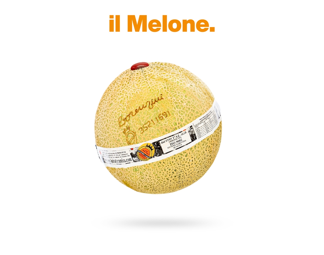 melonebigNewHarper-2024